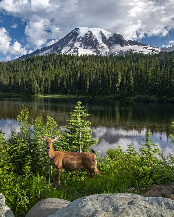 Erskine Wood Photography