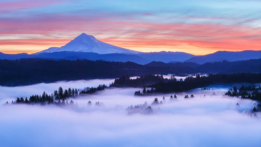 Patrick Campbell Photography