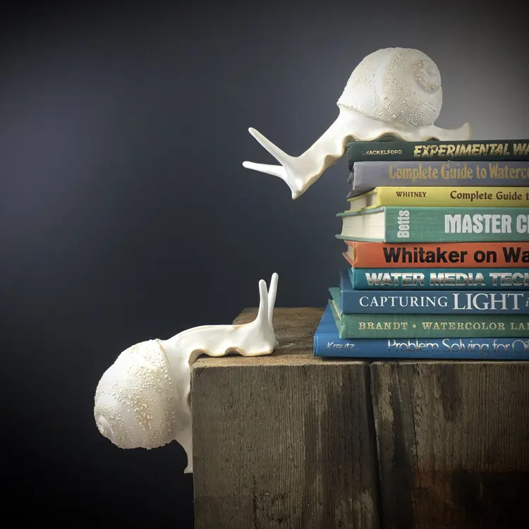 Shelly Fredenberg Studio