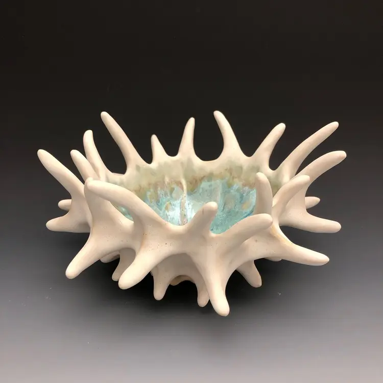 Shelly Fredenberg Studio