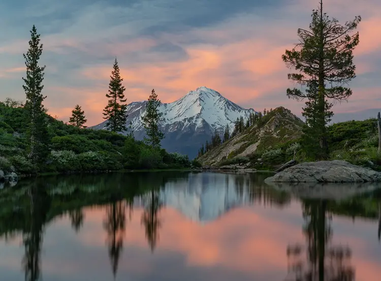 Darren Marshall Photography