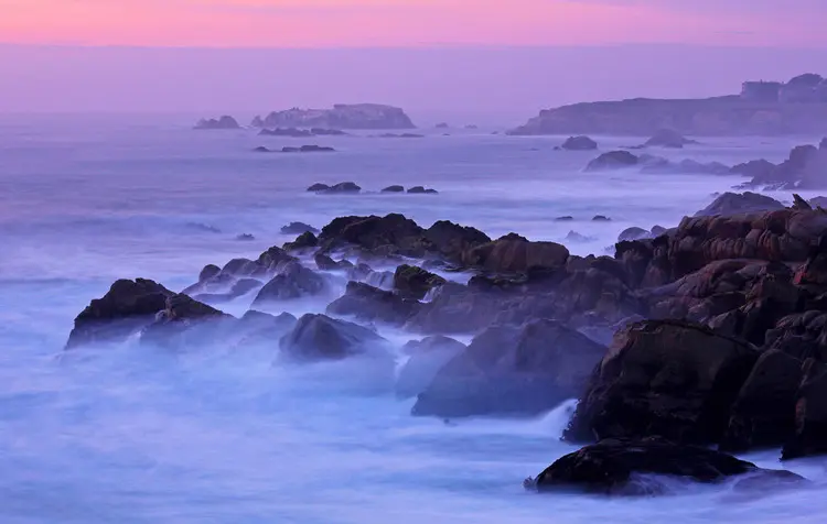 Natural Impressions Photography