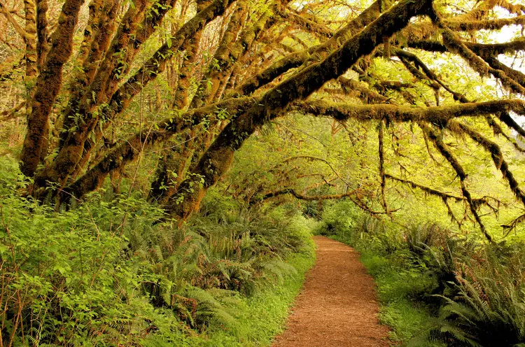 Natural Impressions Photography