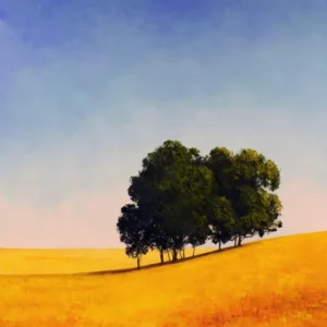 Rachel Harvey Art