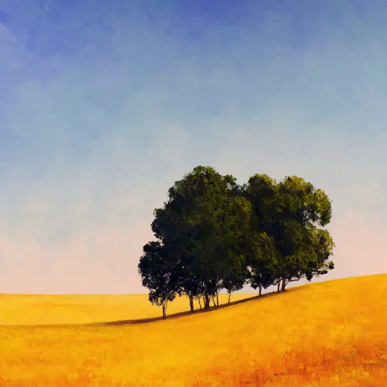 Rachel Harvey Art