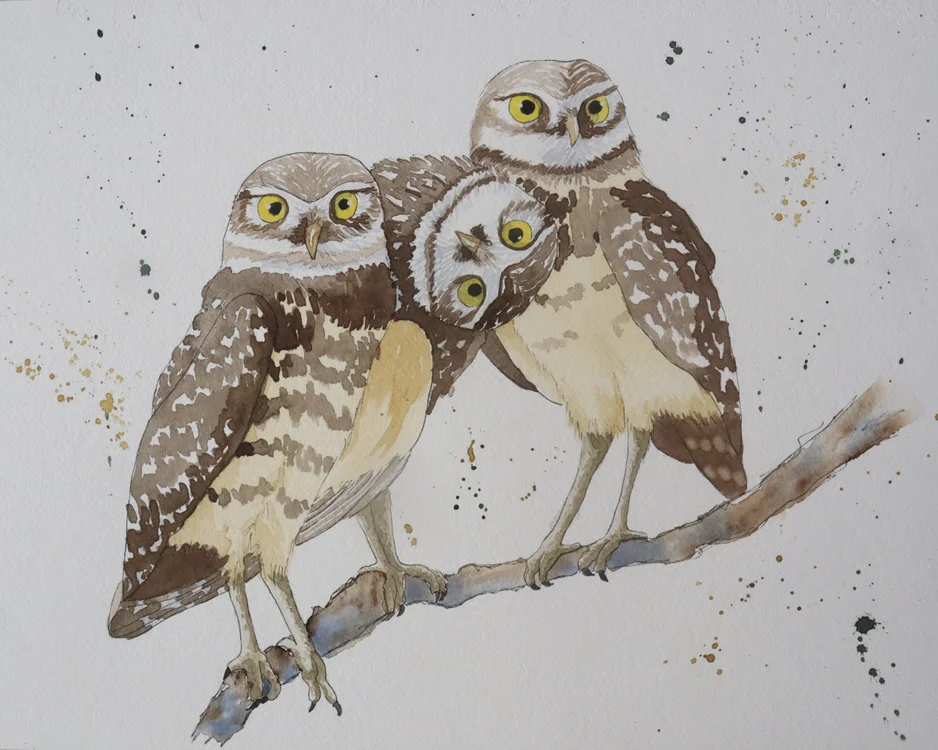 Sparrowhawk Art Studio