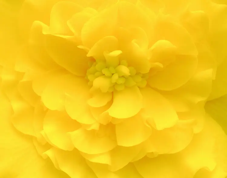 theandersongallery.com