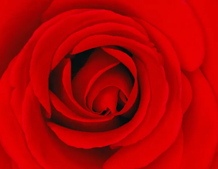 theandersongallery.com