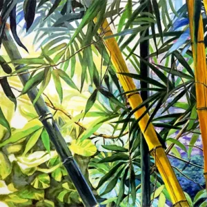 Carol Sims Studio