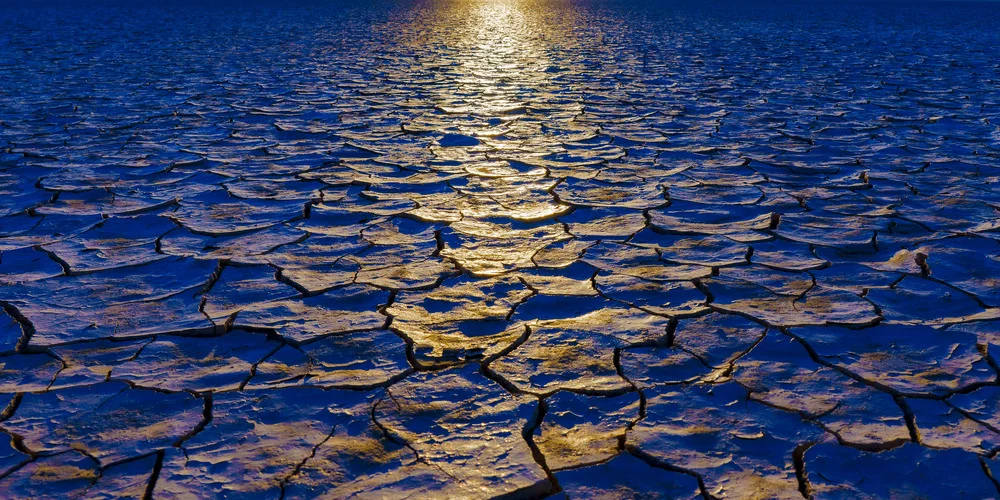 Dana Sharman Photography