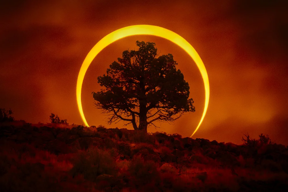 Dana Sharman Photography