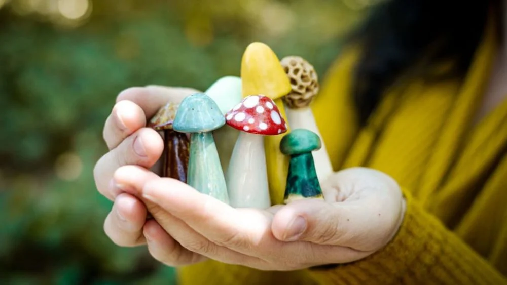 Forest Floor Studios