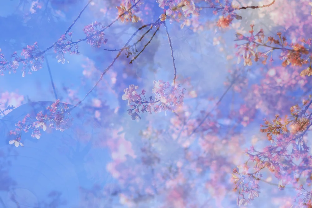 Troy Morris Photography