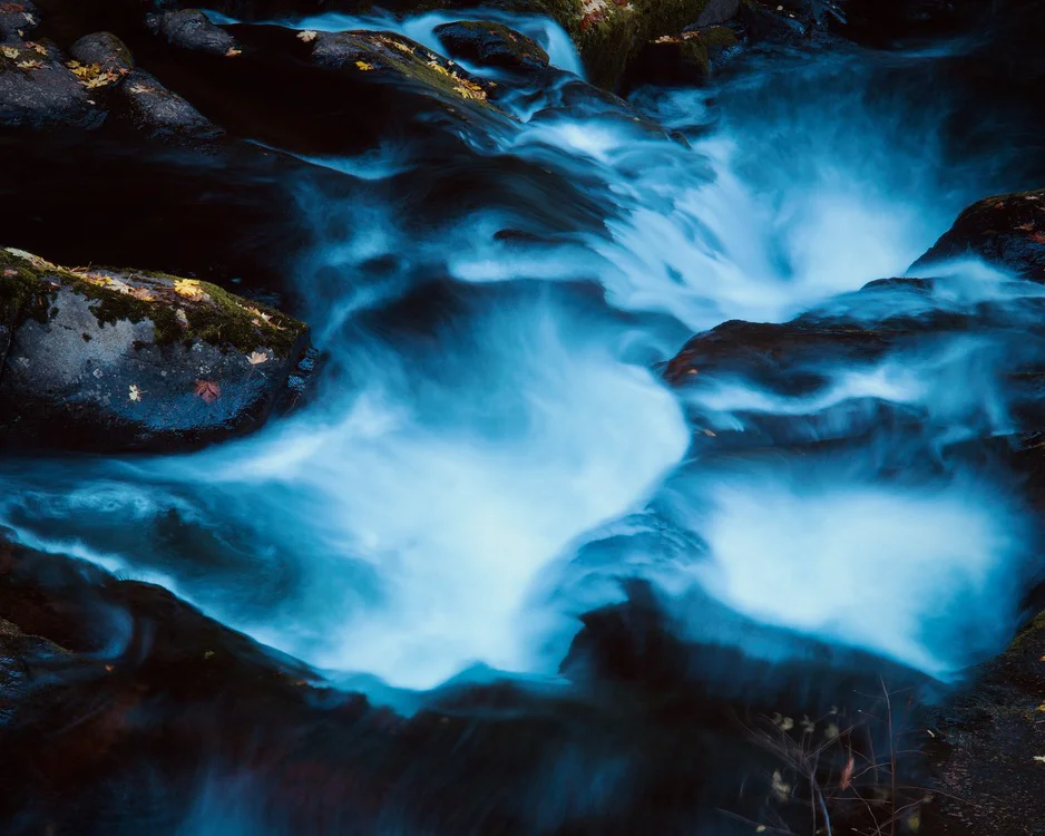 Troy Morris Photography