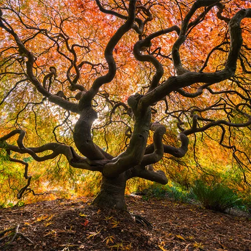 Craig Goodwin Photography