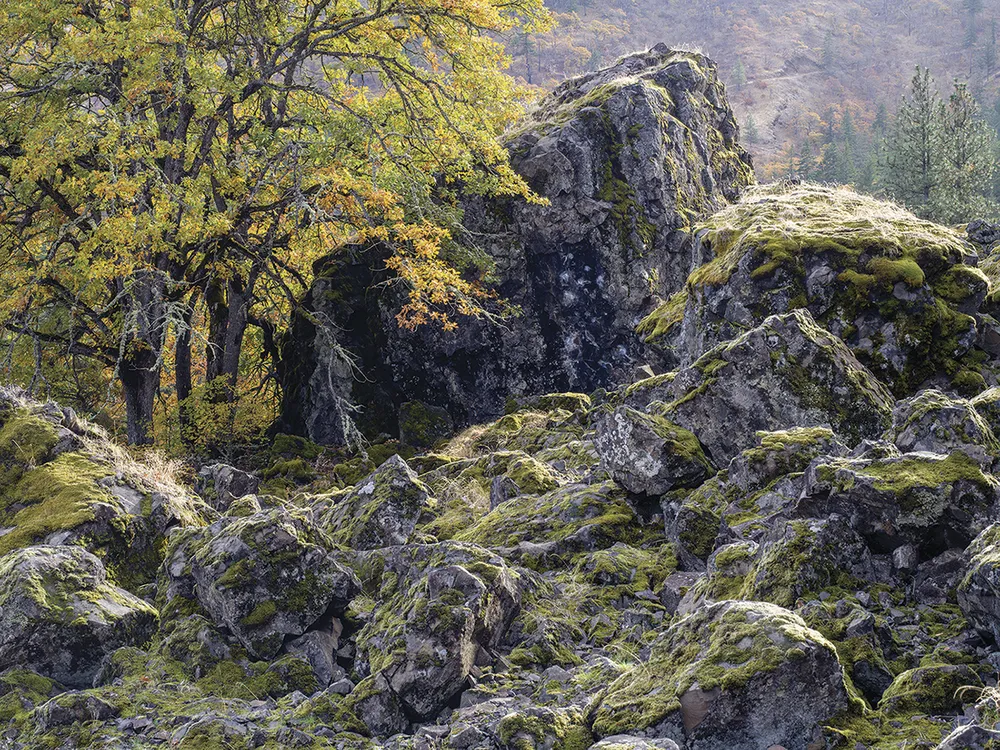 Gary Quay Photography