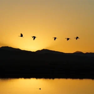 McCrain Photography