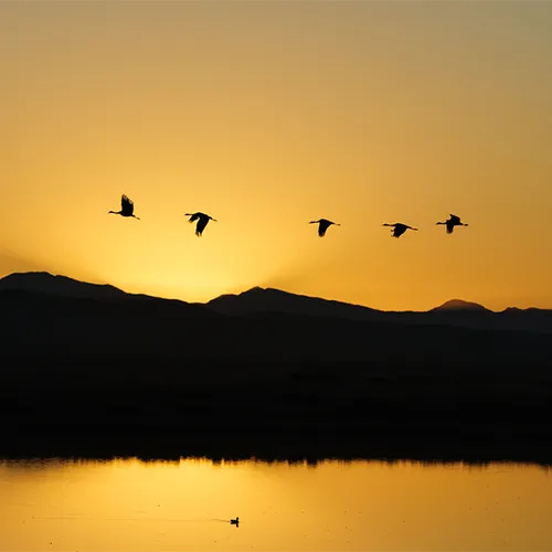 McCrain Photography