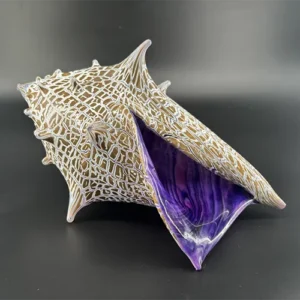 Pneuma Glass llc