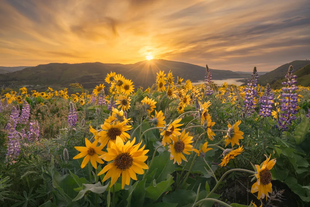 Thomas Goebel Photography