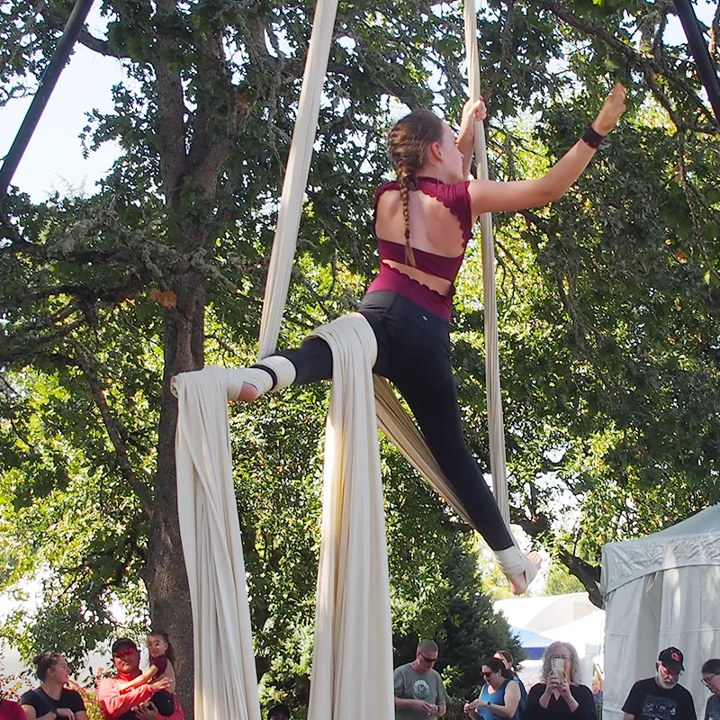 A woman in a red top and black tights hangs gracefully from long pieces of fabric in the trees.