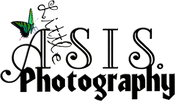 A Little SIS Photography