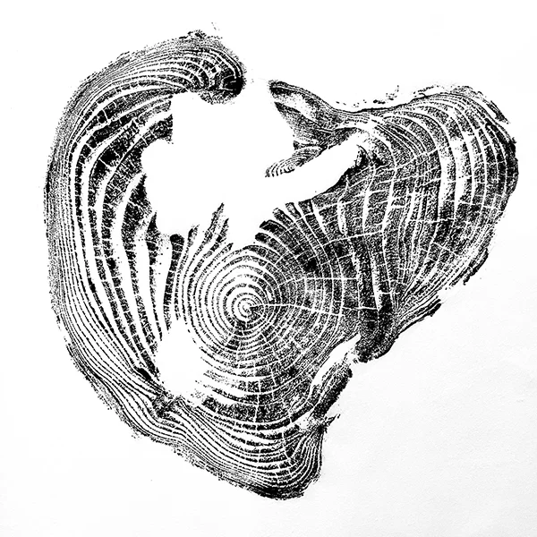 EarthPrints by EP
