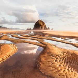Elisabeth Brentano Photography