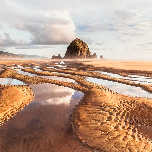 Elisabeth Brentano Photography