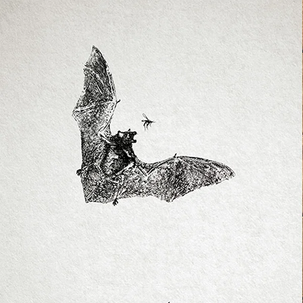 Pacific Gyotaku